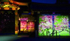 projection mapping in 二条城    IMGP9816zz