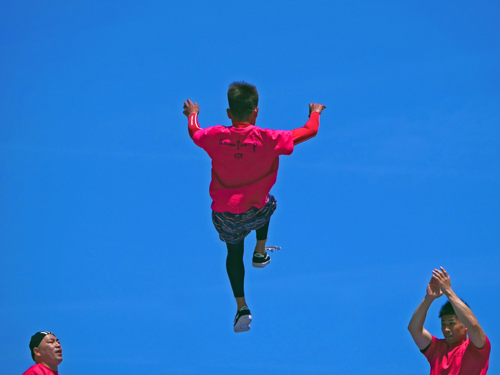 舞い上がれ　P1150801zz