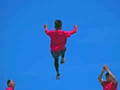 舞い上がれ　P1150801zz