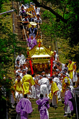 急坂を下る神輿　IGP9995zz