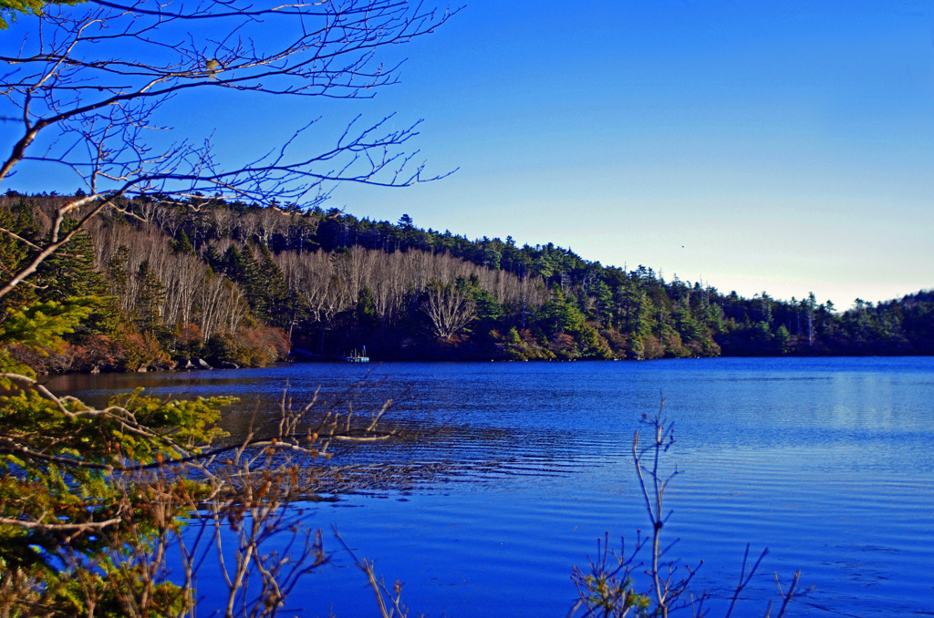 初冬を迎える白駒池　IMG0046zz