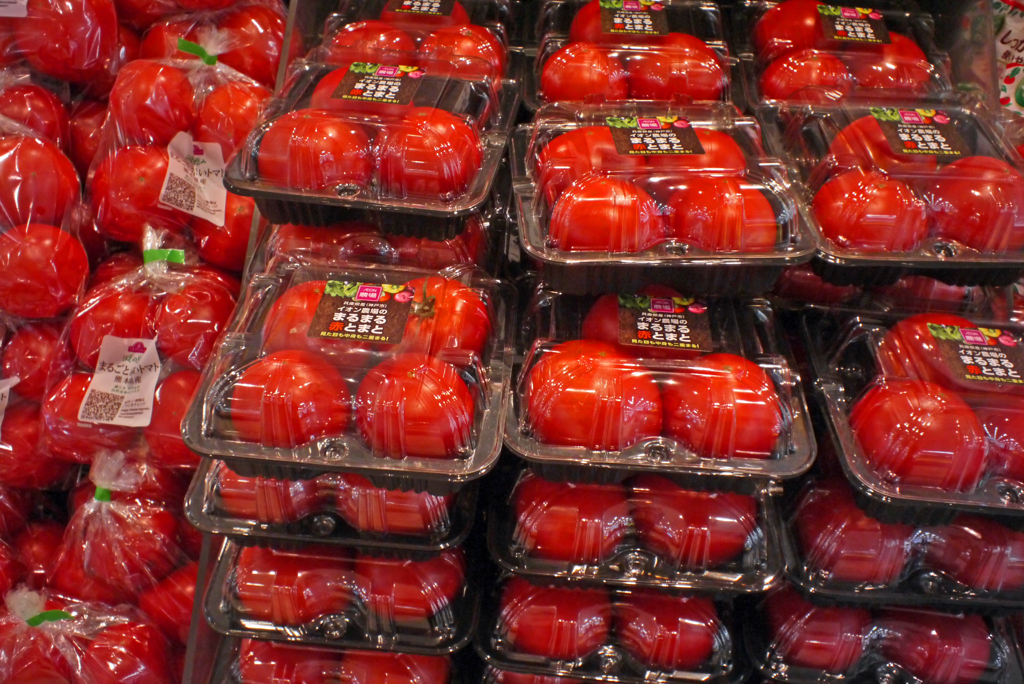 新鮮なトマトはいかが　P1260369zz