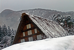 追憶 冬の景　DSC01762zz