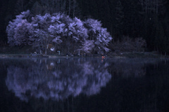 遠い夜明け　P1074688zz