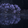 遠い夜明け　P1074688zz