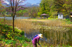 春うらら　IMGP4286zz