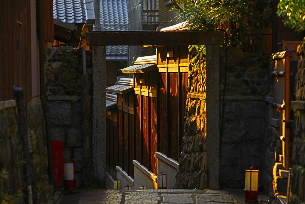 斜光射す　IMGP1967zz