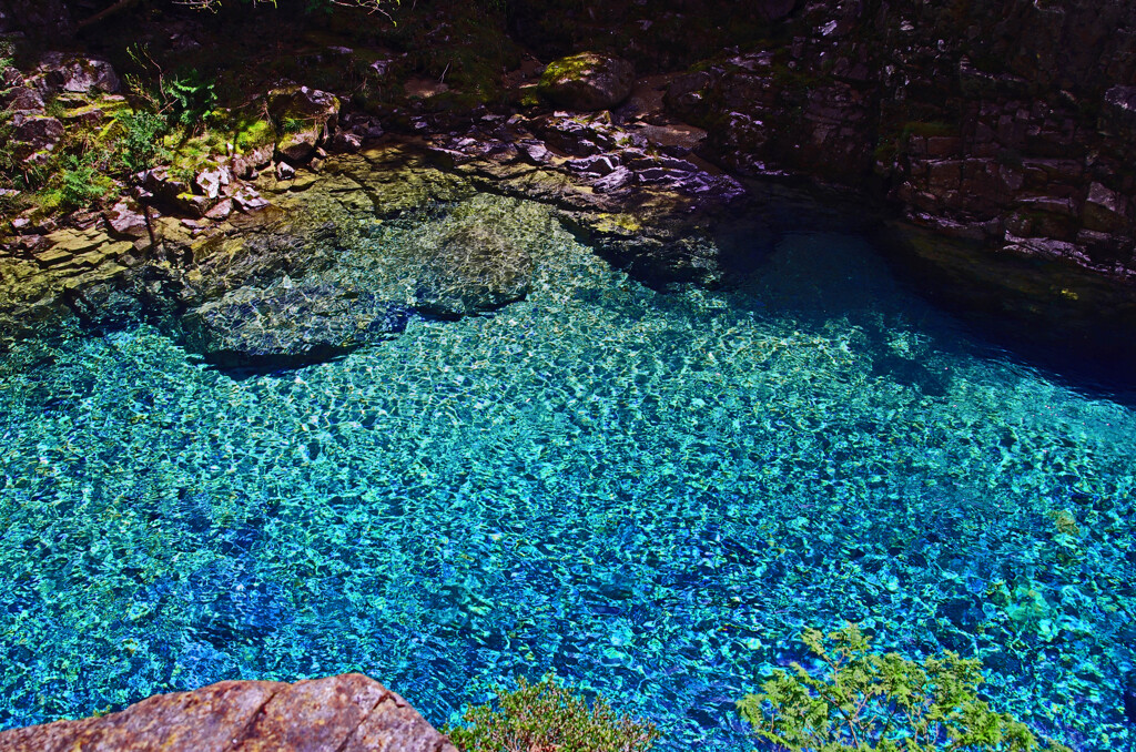 エメラルド色の水底　IMGP5418zz