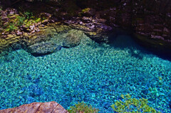 エメラルド色の水底　IMGP5418zz