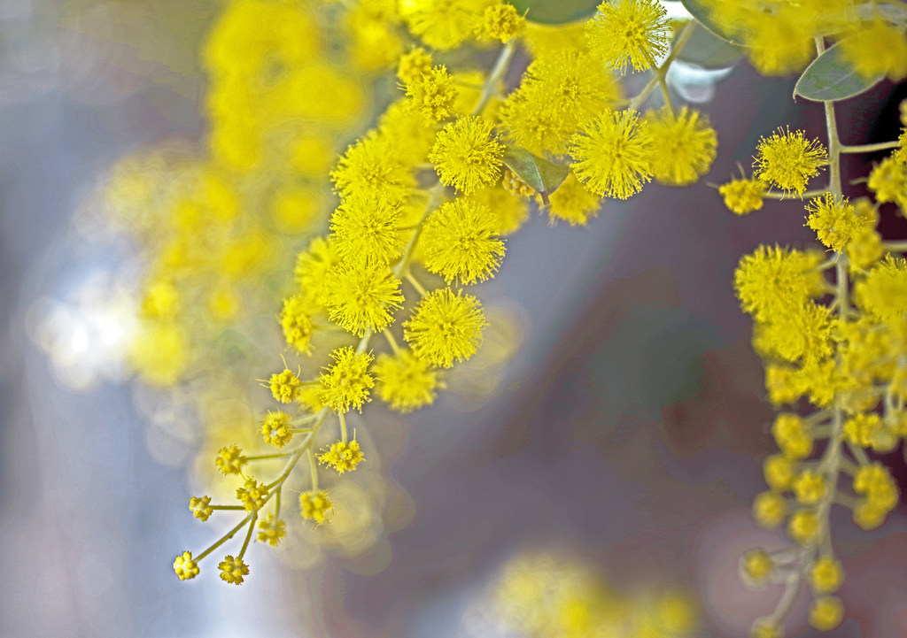 早春の温もり　IMGP0120zz