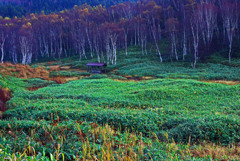 秋深まる　IMGP0681zz