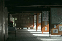 平和新年　IMGP0210zz