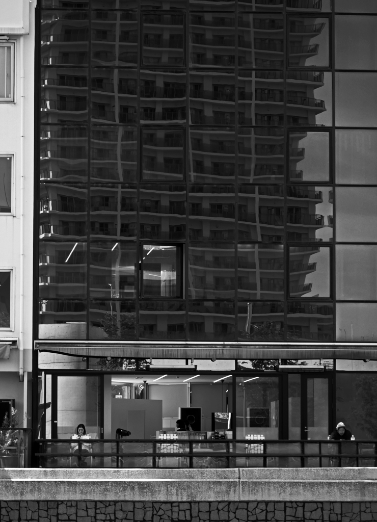 モーニングティーを楽しむ　P1160747zz