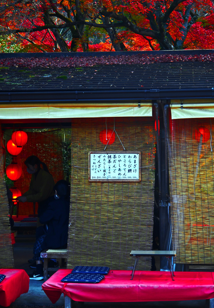 秋の風情　P1490877zz