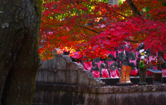 午後の(ひかり)　P1126159z