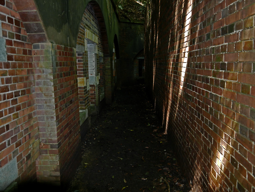 深山第一砲台跡Ⅲ　P1600196z