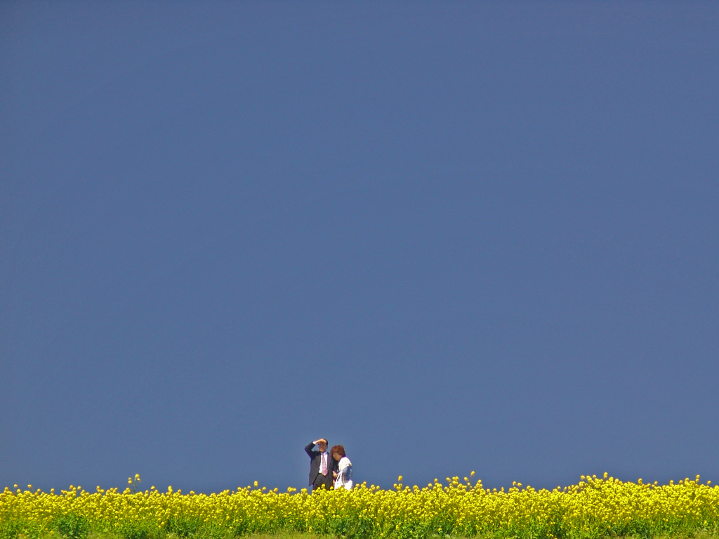 大空の下　DSC02780zz