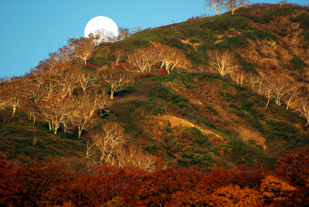 月の入りと燃える山