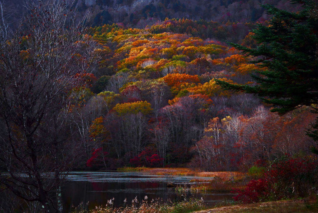 晩秋の候　P1770092z