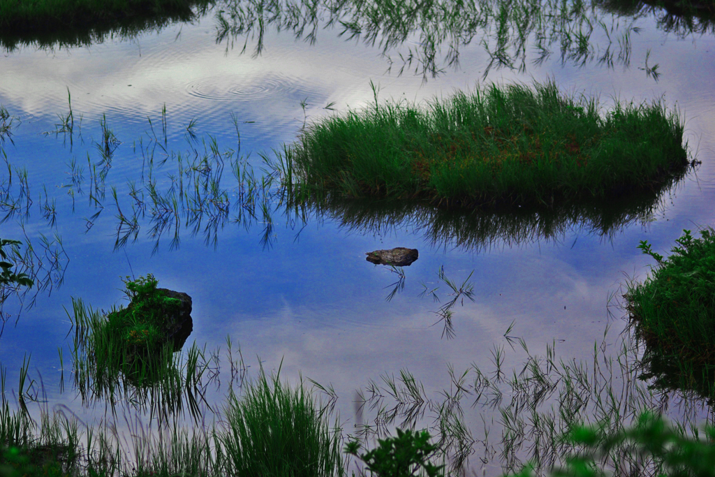 池塘  空を映す　IMGP4657zz