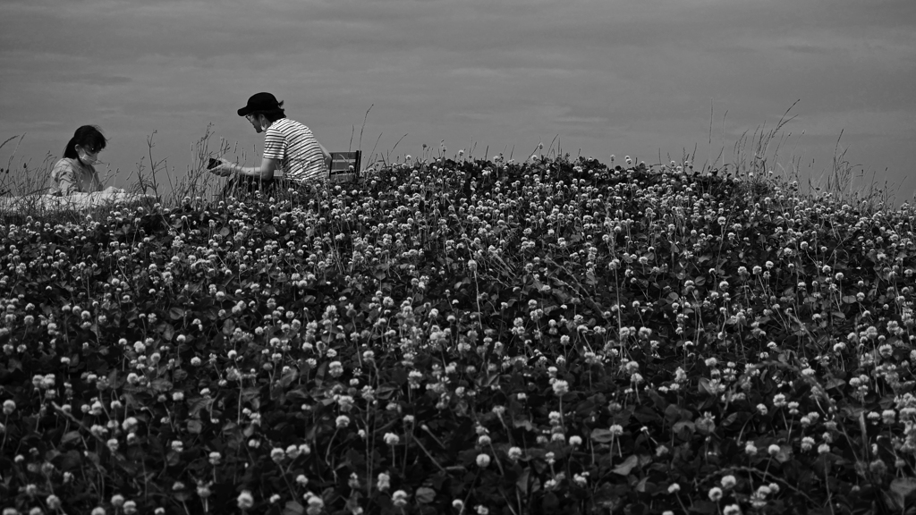 無彩 語らい　P1180124zz