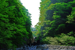 小さな滝　IMGP4386zz