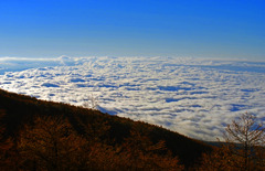 大雲海　IMGP0131zz