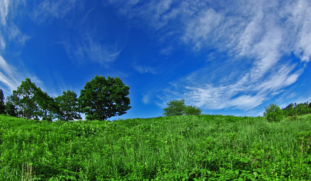 いつか見た夏の碧空　IMGP4770zz