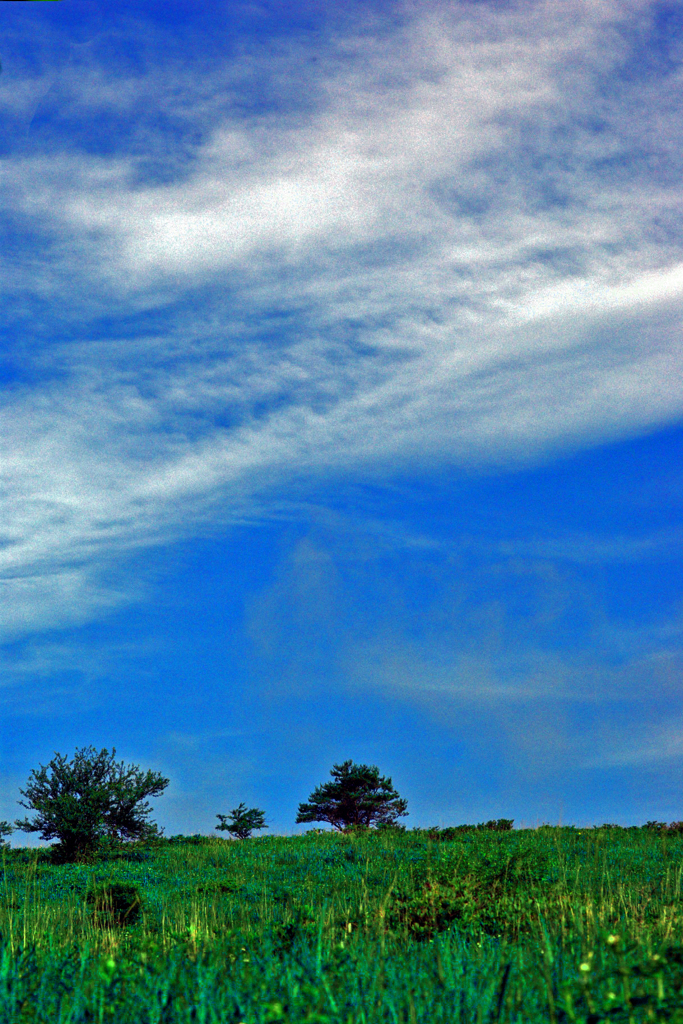 夏の朝雲　IMGP4763zz