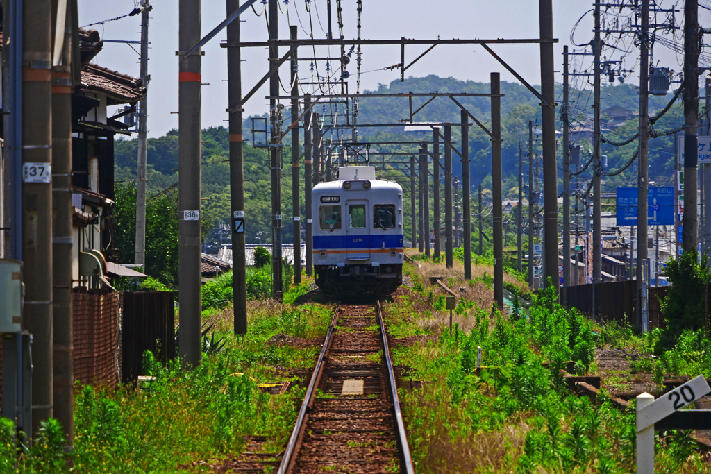 行ってらっしゃい！　P1200086zz