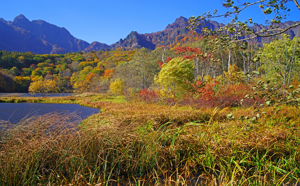 日本の美 信州の秋　IMGP7106zz