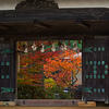 2024 高野山の秋Ⅳ　P1057850zz