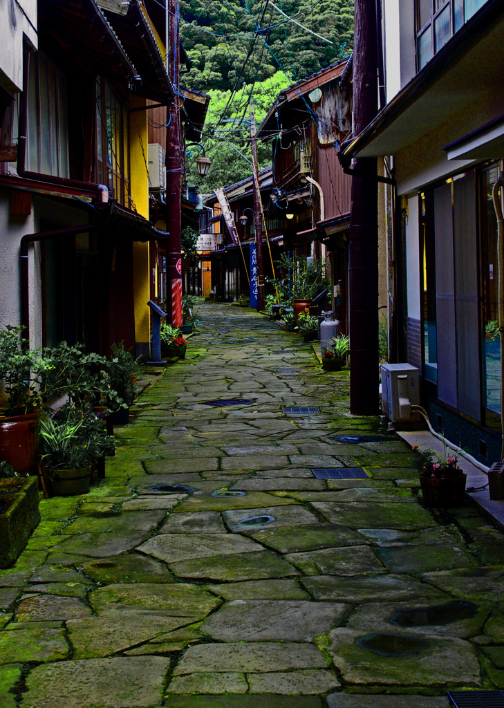 青石畳通り　IMGP5407z