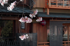 祇園白川 花街の風情　IMGP4673zz