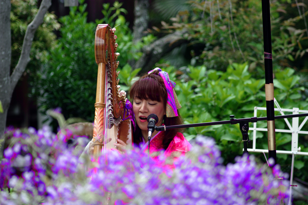 花を愛でる　IMGP6889zz