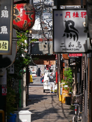 朝の法善寺横丁　P1160562zz