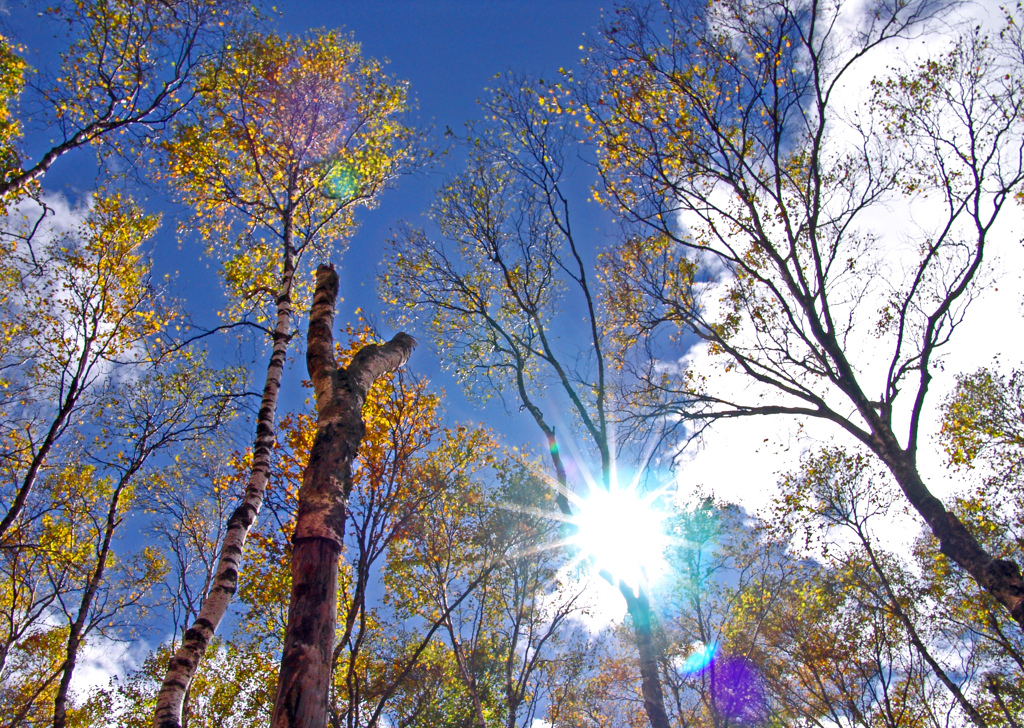 秋の日差し　07082zz