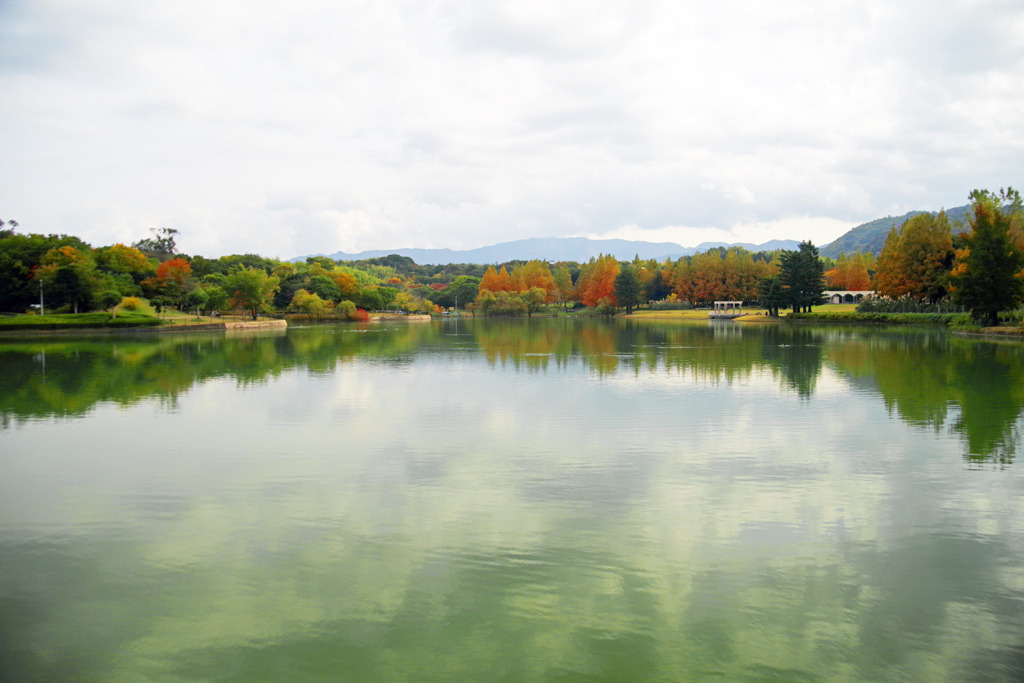 池の彼方の世界　IMGP9570zz