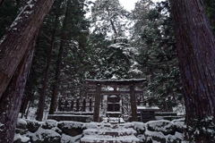 高野冬景 其の四　P1146916zz