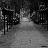 石畳の参道　P1180548z