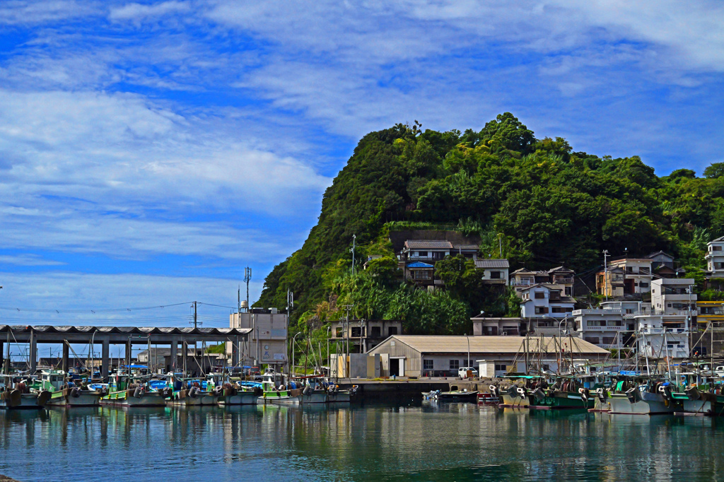 ここは紀州の雑賀崎　P1044072zz
