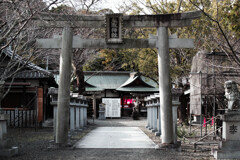 寂しい初詣　IMGP0314zz