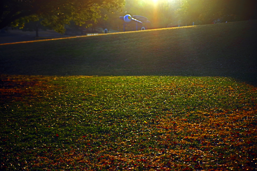 朝の陽　IMGP9923zz