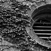 廃工場　DSC00024zz