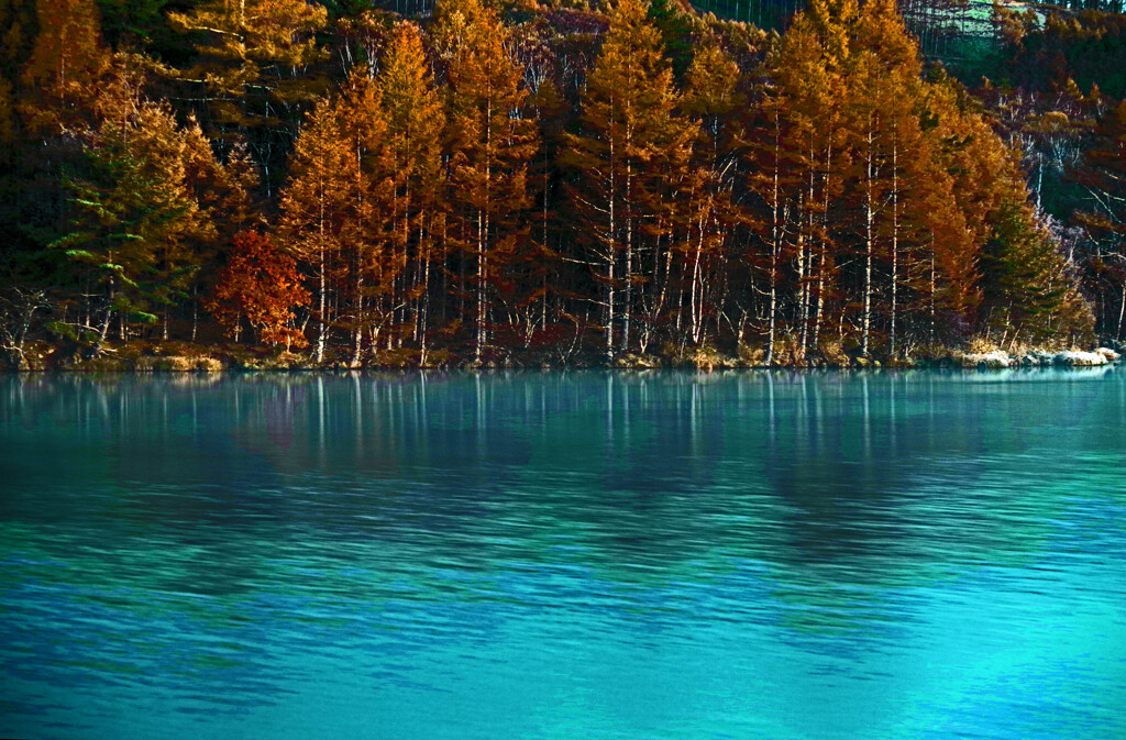 秋空の予感　IMGP0329zz