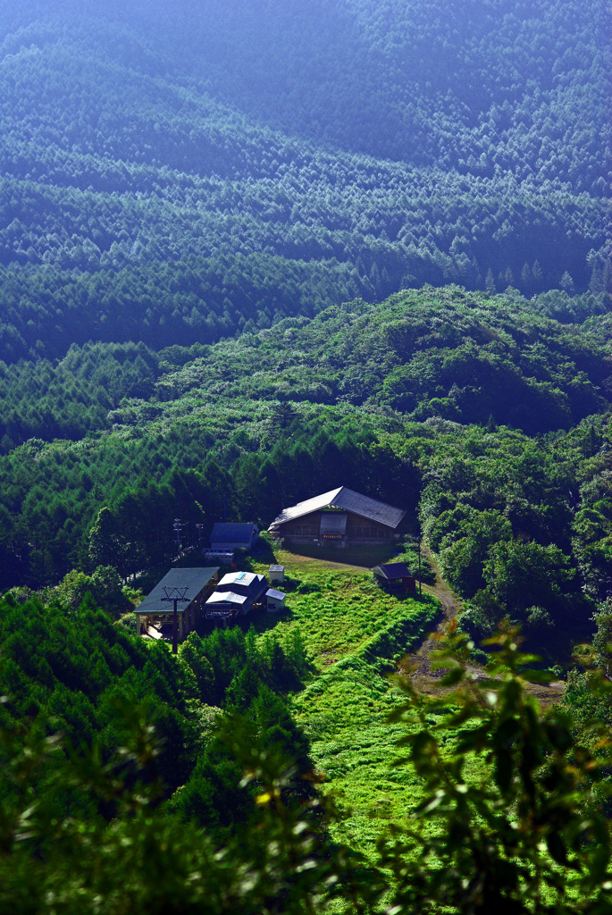 新緑のリフト乗り場　IMGP0611z