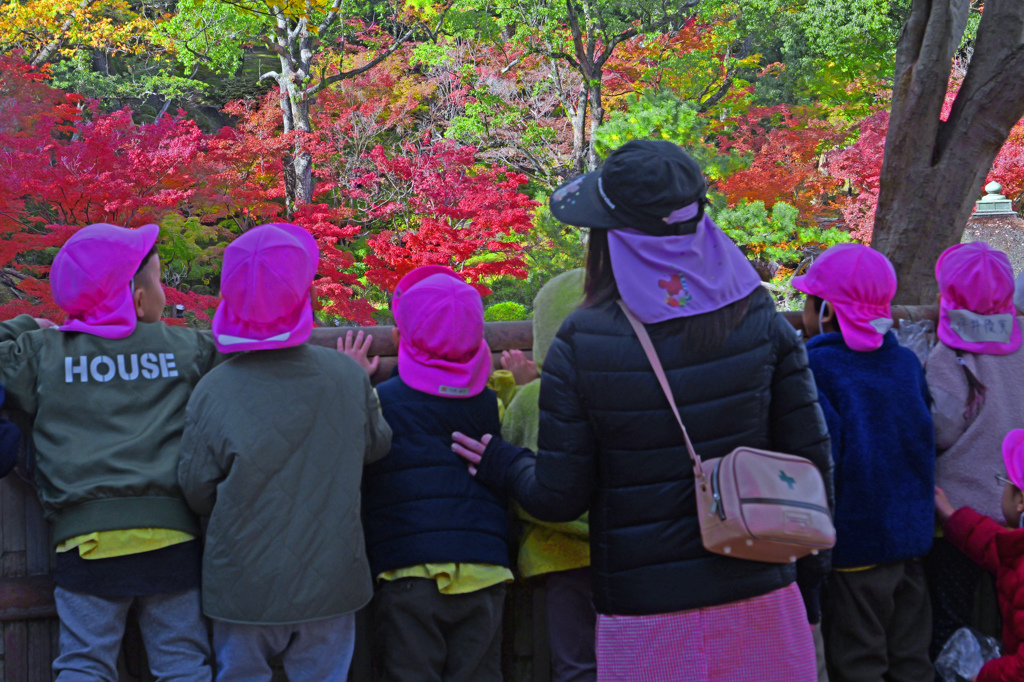 興味津々　P1059338zz