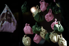 Display　IMGP0327zz