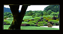 一幅の絵画　IMGP4929zz