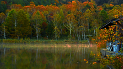 目覚める池畔　P1113561zz